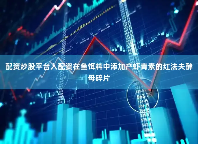 配资炒股平台入配资在鱼饵料中添加产虾青素的红法夫酵母碎片